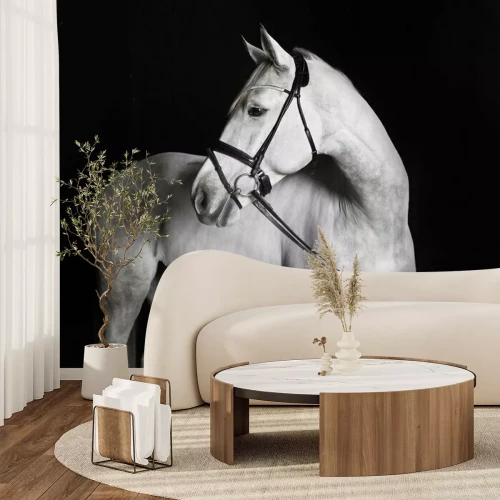 Fotobehang Een paard in zwart-wit