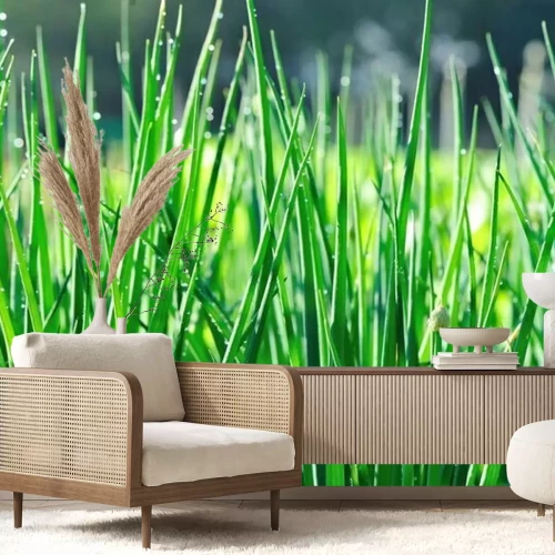 Fotobehang Bieslook in de tuin