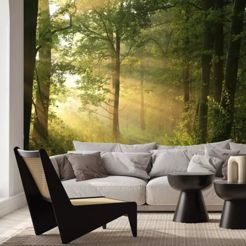 Fotobehang Bospad in de zon