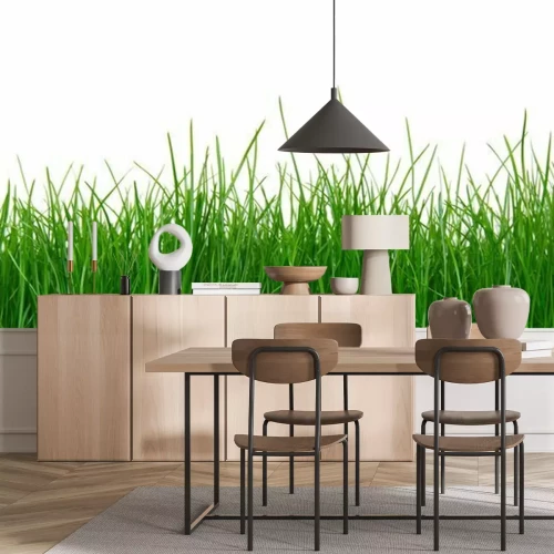 Fotobehang Groen gras op een witte achtergrond