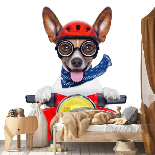 Sticker Een hond met bril op een rode scooter