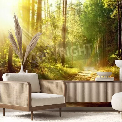 Fotobehang Zonsopgang in een bos