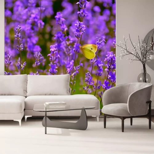 Sticker Lavendel met een gele vlinder