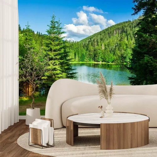 Fotobehang Bergen en groene bossen