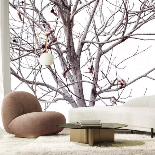 Sticker Gedroogde plant op een witte achtergrond