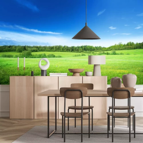 Fotobehang Panorama van gras, bomen en lucht