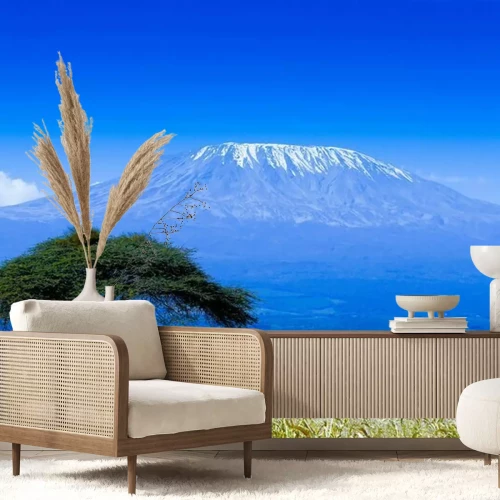 Fotobehang Kilimanjaro landschap
