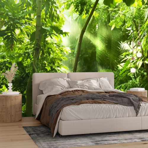 Fotobehang Tropisch bos in de zon