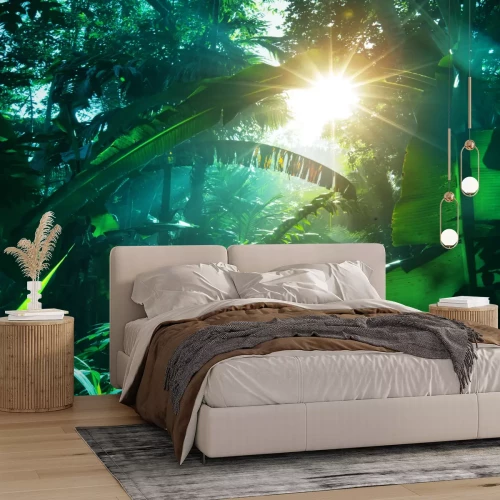 Fotobehang Zon in de jungle