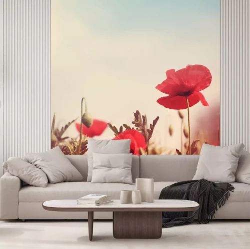 Fotobehang Rood veld van bloemen