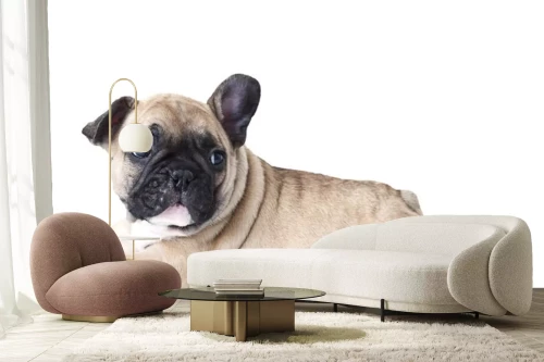 Visualisatie van het product