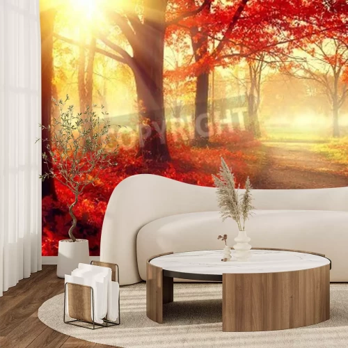 Fotobehang Zonsopgang in een mistig bos