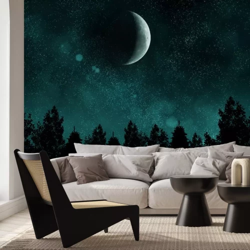 Sticker Starry nacht met bos en de maan