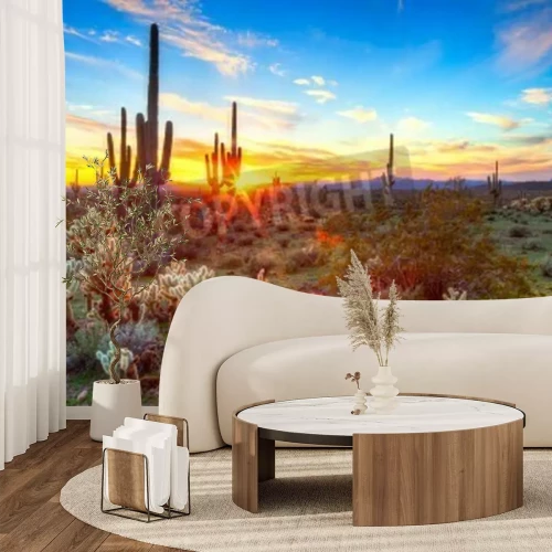 Fotobehang Zonsondergang boven de Sonora woestijn