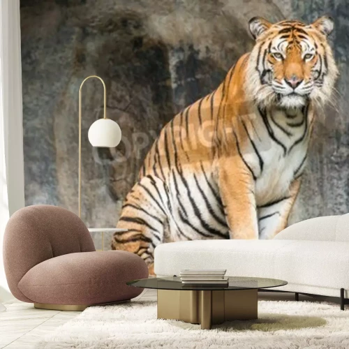 Fotobehang Tijger zittend bij de grot