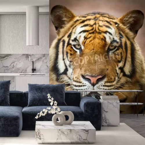 Fotobehang Tijger met roze neus