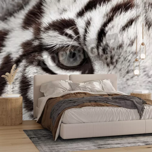 Fotobehang Close-up van tijgeroog