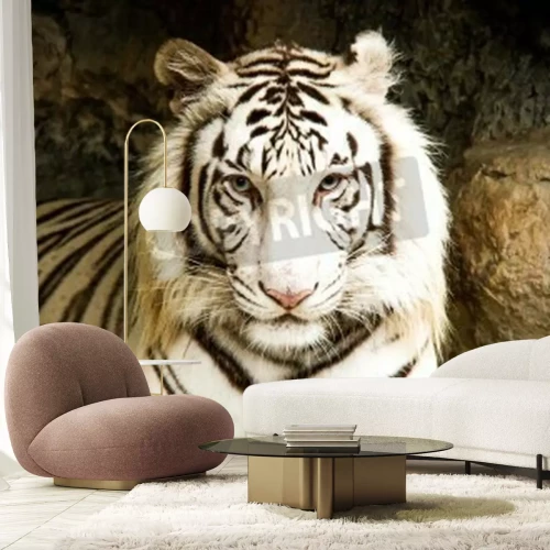 Fotobehang Witte tijger in Thailand