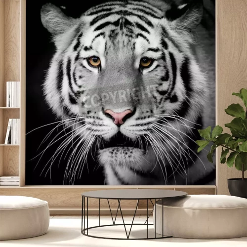 Fotobehang Heldere tijger op donkere achtergrond