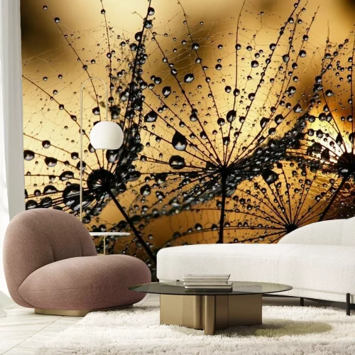 Fotobehang Natte paardenbloemzaden