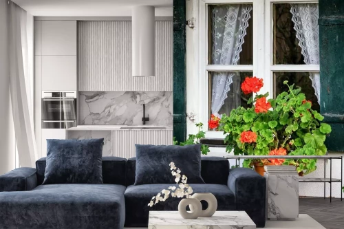 Visualisatie van het product