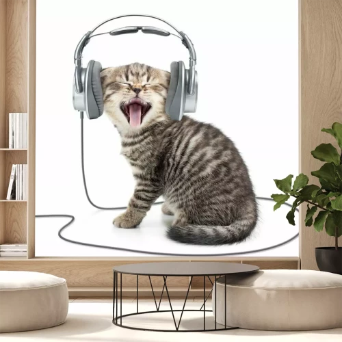Fotobehang Gapend katje met koptelefoon
