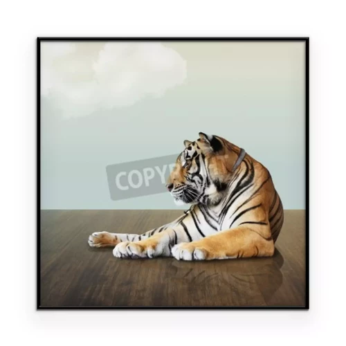 Visualisatie van het product