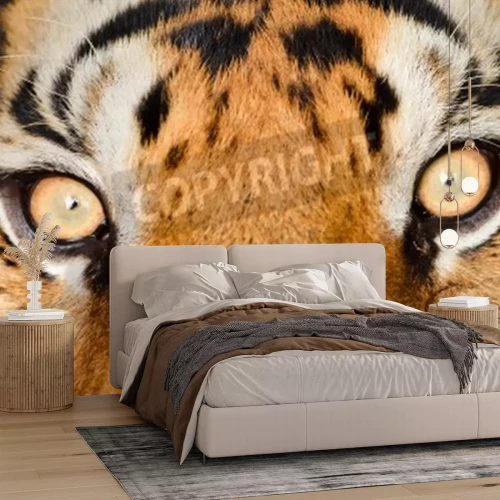 Fotobehang Macro patroon met tijger