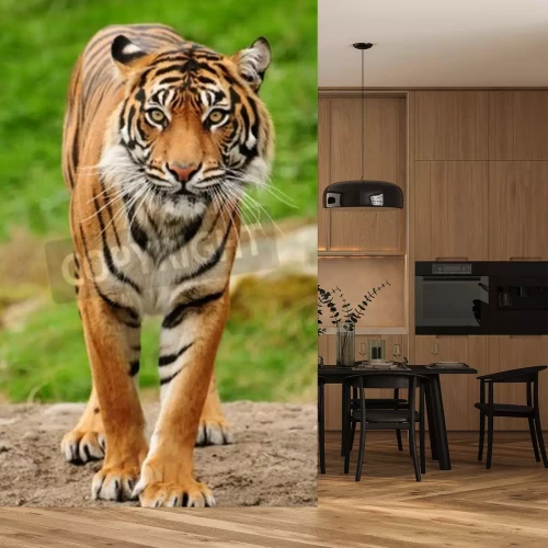 Fotobehang Portret van een Bengaalse tijger