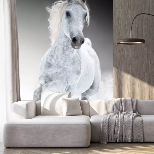 Fotobehang Grijs paard loopt door de sneeuw