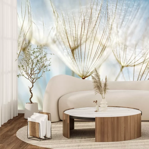 Fotobehang Zaden van een paardenbloem op de achtergrond van de hemel