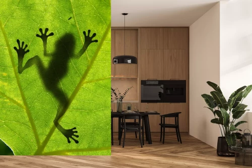 Visualisatie van het product