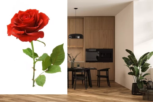 Visualisatie van het product