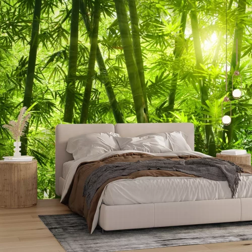 Fotobehang Tropisch bamboebos