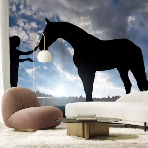 Sticker Paardenvrouw en paard in de stralen van de zon