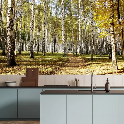 Fotobehang Het begin van de herfst in een berkenbos