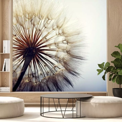 Fotobehang Paardenbloem op de achtergrond van de hemel