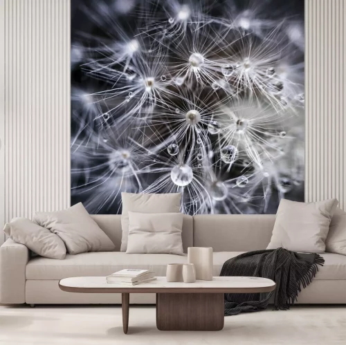 Fotobehang Waterdruppels op een paardenbloem