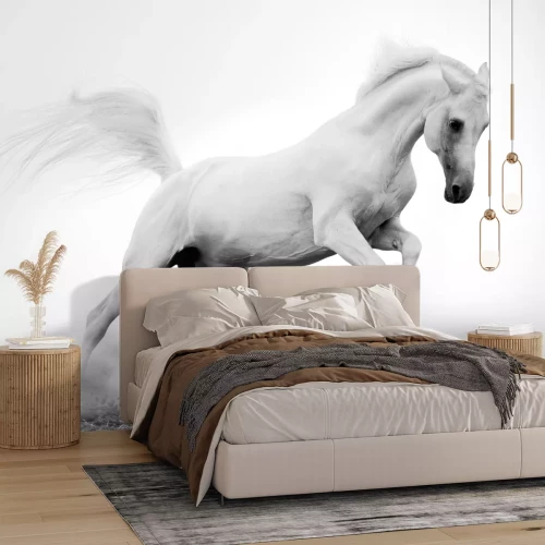 Fotobehang Paard galoppeert in het zand