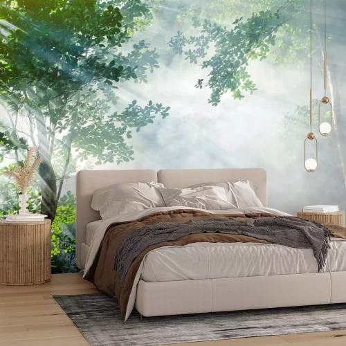 Fotobehang Jungle gehuld in mist