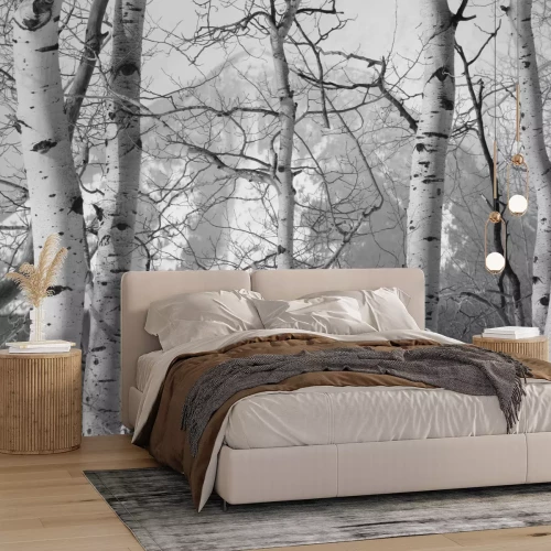 Fotobehang Zwart-wit foto met berken