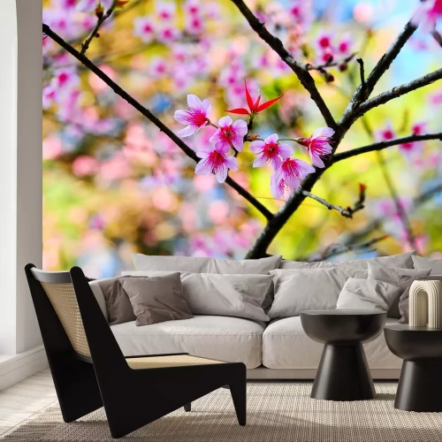 Fotobehang Roze bloem in bloei