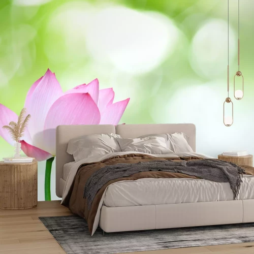 Fotobehang Roze bloem op een groene achtergrond