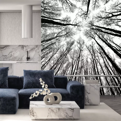 Fotobehang Artistieke silhouetten van bomen in 3D