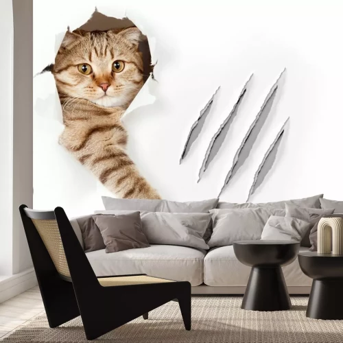 Fotobehang Kat 3D aan de muur