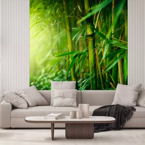 Fotobehang Jungle met bamboeplanten