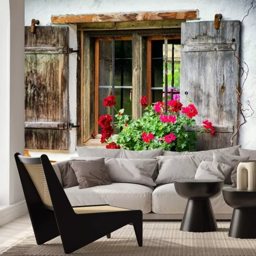 Fotobehang Een oud raam met houten luiken en een bloem op de vensterbank