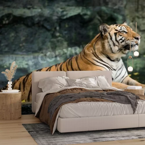 Fotobehang Waakzame tijger op een rots