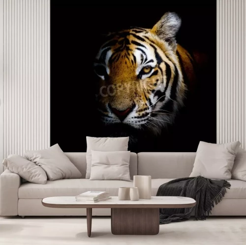 Fotobehang Tijger die uit de schaduw komt