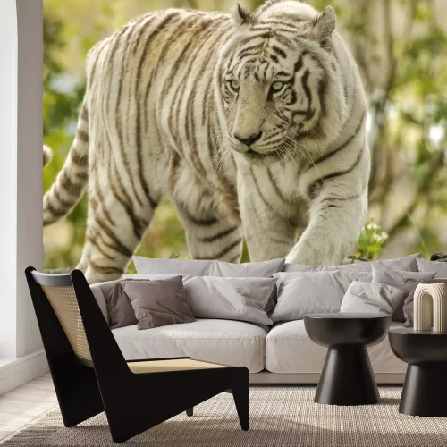 Fotobehang Witte tijger op de achtergrond van groen